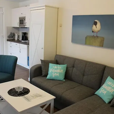 Seagull's Nest In The 