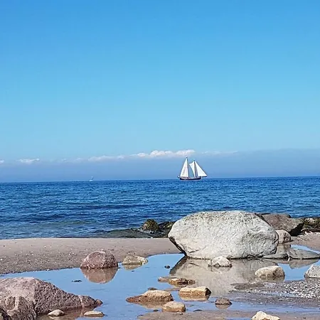 Vakantiehuis Seagull's Nest In The 